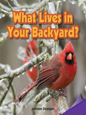 cover image of What Lives in Your Backyard?